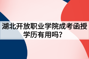 湖北开放职业学院成考函授学历有用吗？
