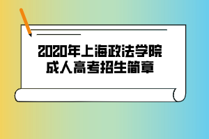 2020年上海政法学院成人高考招生简章