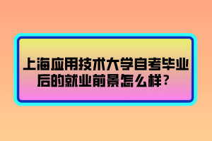 上海应用技术大学自考毕业后的就业前景怎么样？