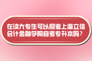 在读大专生可以报考上海立信会计金融学院自考专升本吗？