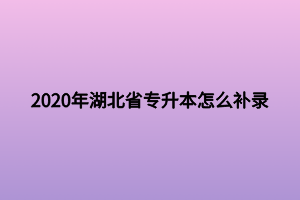 2020年湖北省专升本怎么补录