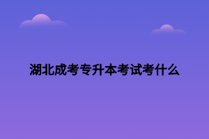 湖北成考专升本考试考什么