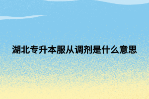 湖北专升本服从调剂是什么意思