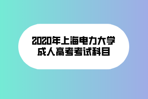 2020年上海电力大学成人高考考试科目