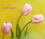 武昌金香阁书画工作室