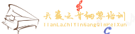 长沙天籁之音钢琴培训