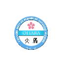 成都市大原教育咨询有限公司