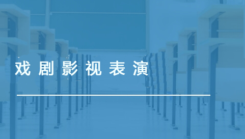 戏剧影视表演