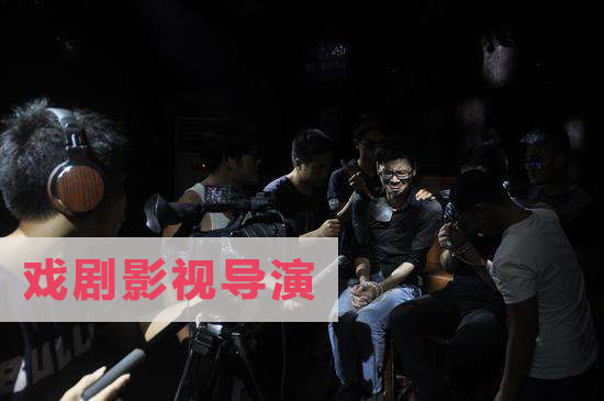 戏剧影视导演