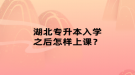 湖北专升本入学之后怎样上课？