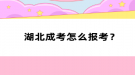 湖北成考怎么报考？