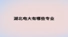 湖北电大有哪些专业