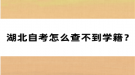 湖北自考怎么查不到学籍？
