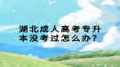 湖北成人高考专升本没考过怎么办？