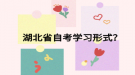 湖北省自考学习形式？
