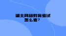 湖北网络教育考试怎么考？