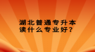 湖北普通专升本读什么专业好？