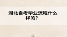 湖北自考毕业流程什么样的？