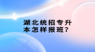 湖北统招专升本怎样报班？