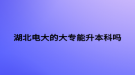 湖北电大的大专能升本科吗