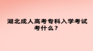 湖北成人高考专科入学考试考什么？