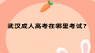 武汉成人高考在哪里考试？
