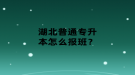 湖北普通专升本怎么报班？
