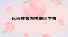远程教育怎样缴纳学费