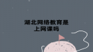 湖北网络教育是上网课吗
