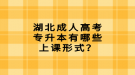 湖北成人高考专升本有哪些上课形式？