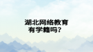 湖北网络教育有学籍吗？