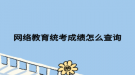 网络教育统考成绩怎么查询