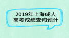 2019年上海成人高考成绩查询预计   