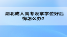 湖北成人高考没拿学位好后悔怎么办？
