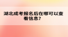 湖北成考报名后在哪可以查看信息？