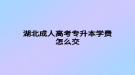 湖北成人高考专升本学费怎么交