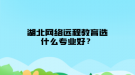 湖北网络远程教育选什么专业好？