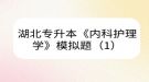 湖北专升本《内科护理学》模拟题（1）