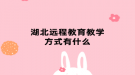 湖北远程教育教学方式有什么
