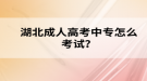 湖北成人高考中专怎么考试？