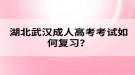 湖北武汉成人高考考试如何复习？