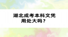 湖北成考本科文凭用处大吗？