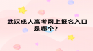 武汉成人高考网上报名入口是哪个？