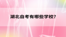 湖北自考有哪些学校?