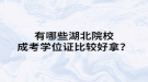 有哪些湖北院校成考学位证比较好拿？