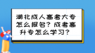湖北成人高考大专怎么报名？成考高升专怎么学习？