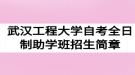 2020年武汉工程大学自考全日制助学班招生简章