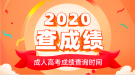 2020年湖北成人高考成绩什么时候公布