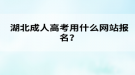 湖北成人高考用什么网站报名？