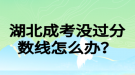 湖北成考没过分数线怎么办？